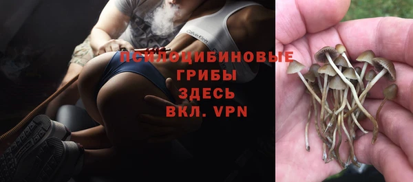 2c-b Алексин
