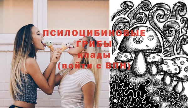 2c-b Алексин