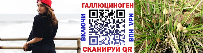 мега как войти  Богучар  Галлюциногенные грибы прущие грибы 